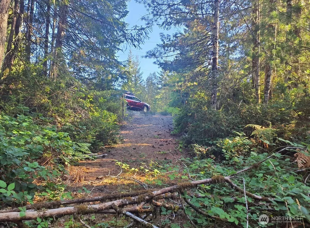 101 NE Creekside Place Tahuya WA 98588