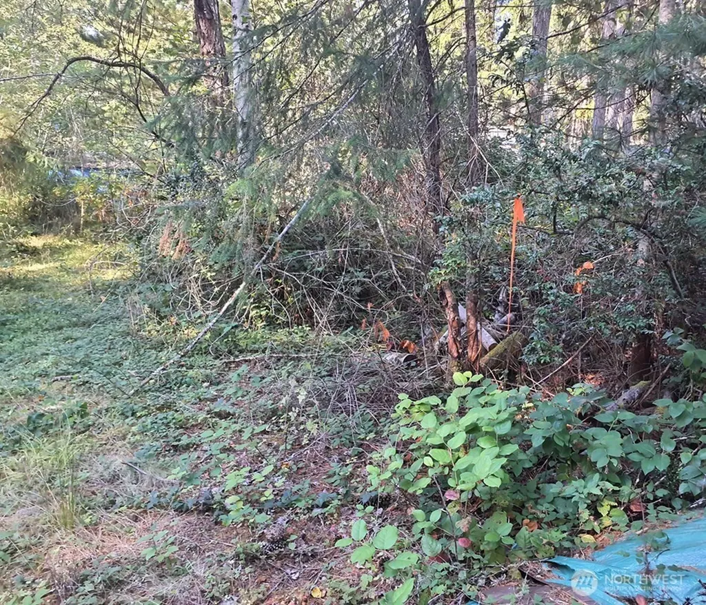 101 NE Creekside Place Tahuya WA 98588
