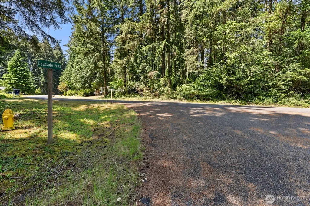 11103 Leschi Circle Anderson Island WA 98303