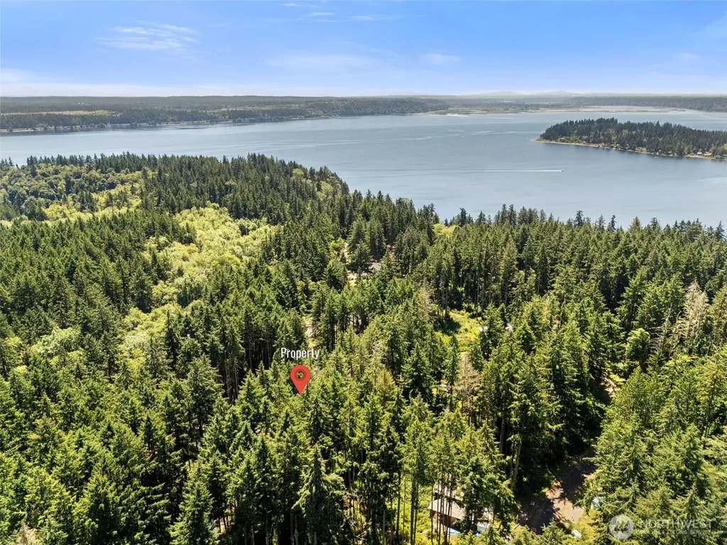 11103 Leschi Circle Anderson Island WA 98303