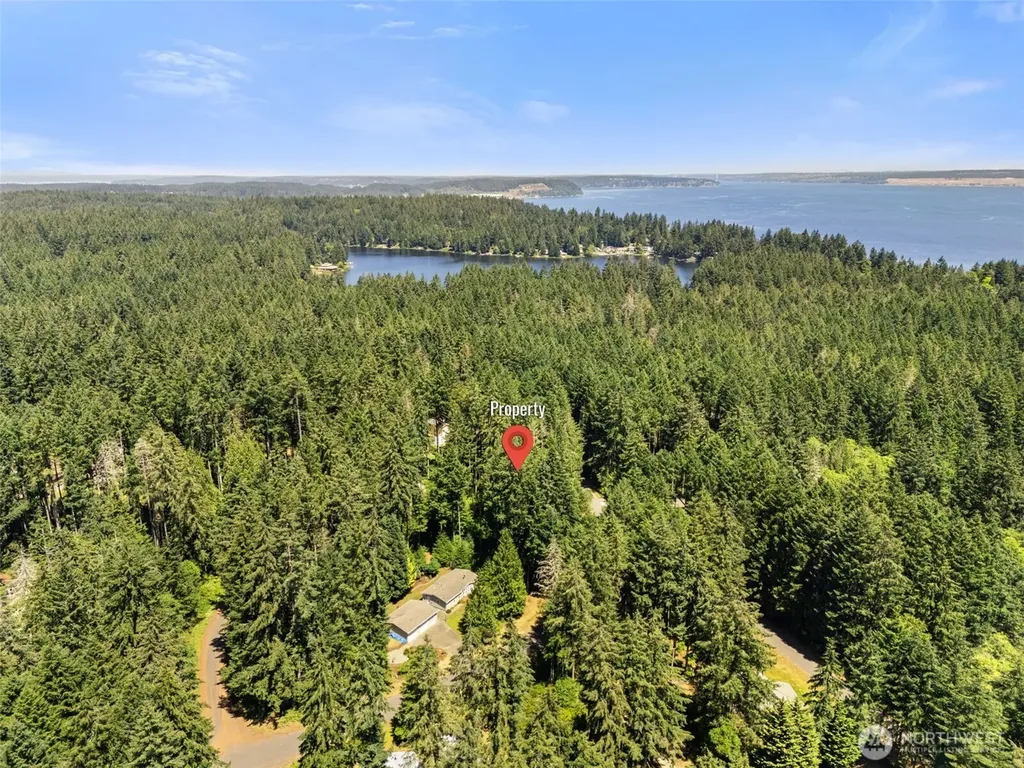 11103 Leschi Circle Anderson Island WA 98303