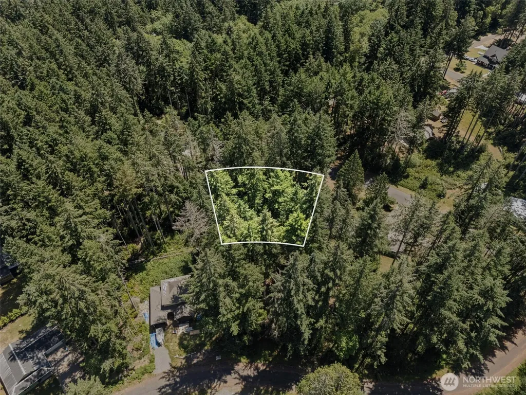 11103 Leschi Circle Anderson Island WA 98303