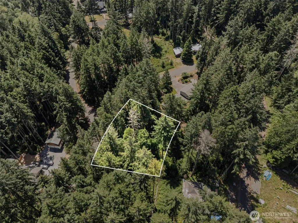 11103 Leschi Circle Anderson Island WA 98303