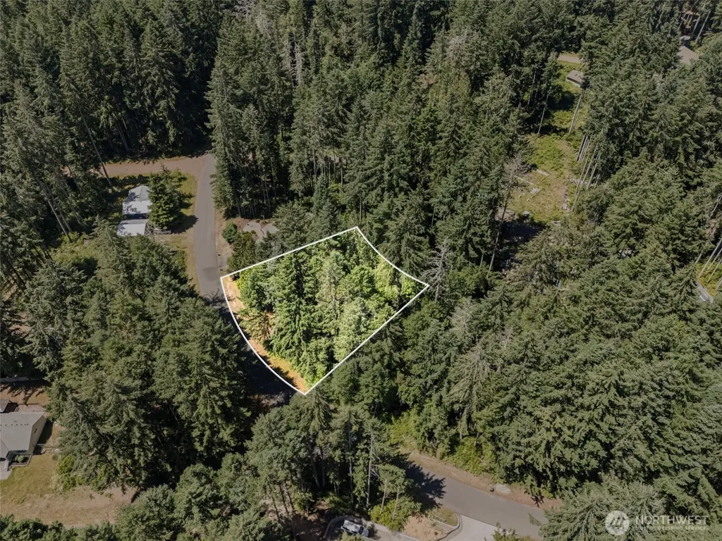11103 Leschi Circle Anderson Island WA 98303