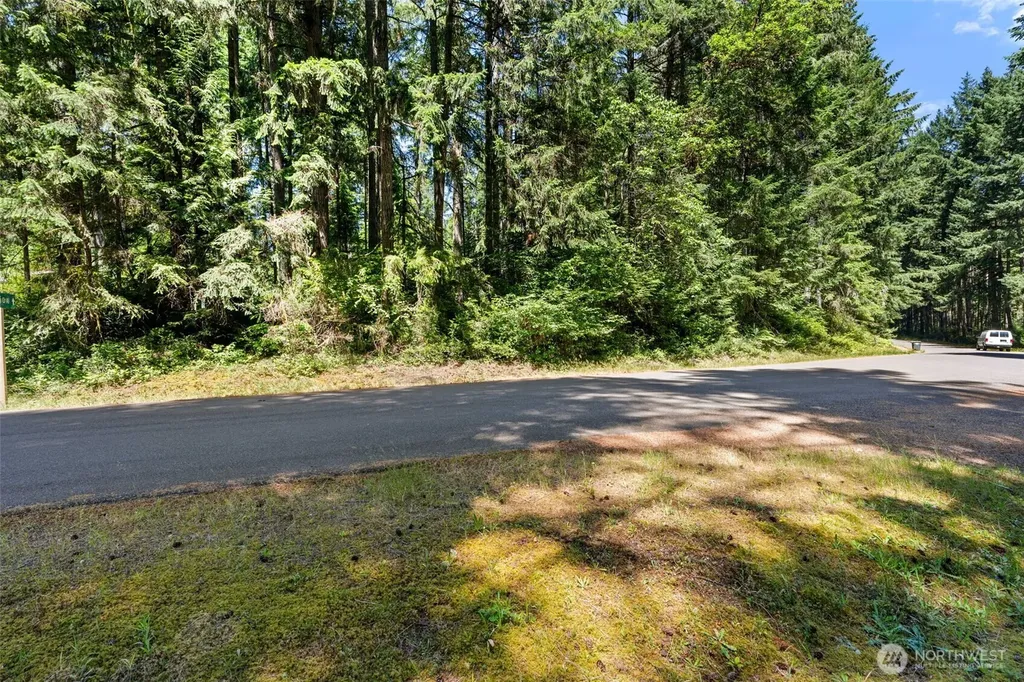 11103 Leschi Circle Anderson Island WA 98303
