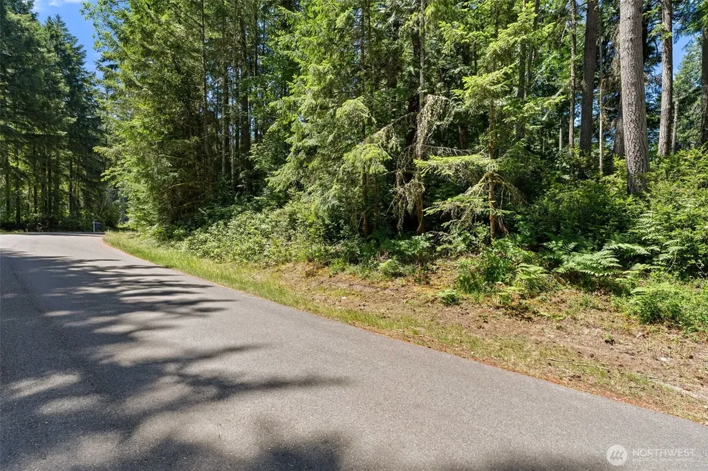 11103 Leschi Circle Anderson Island WA 98303