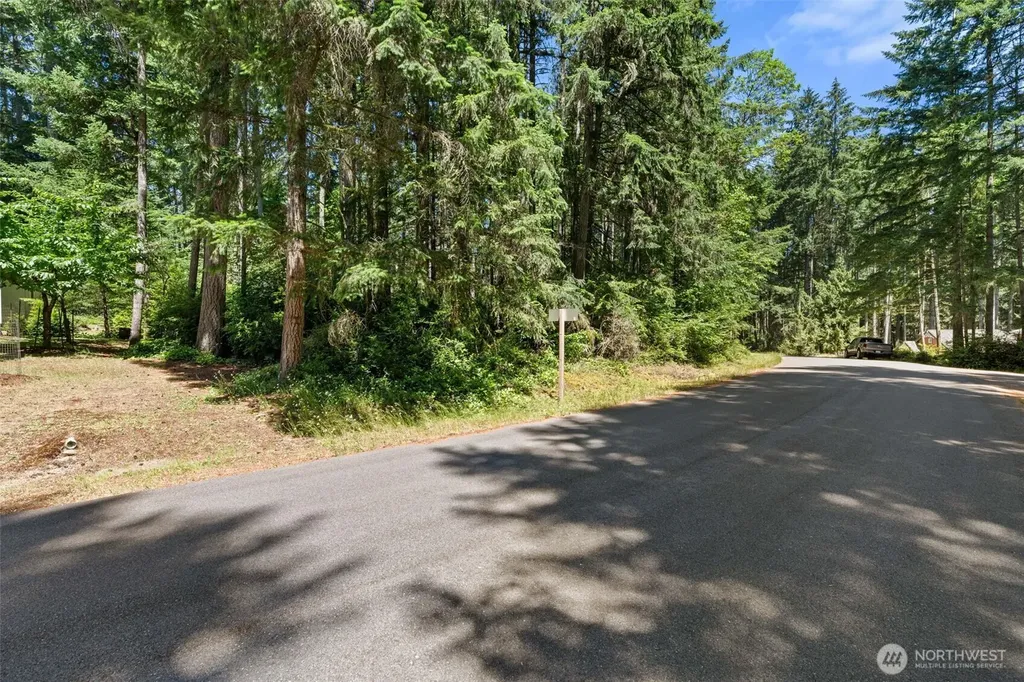 11103 Leschi Circle Anderson Island WA 98303