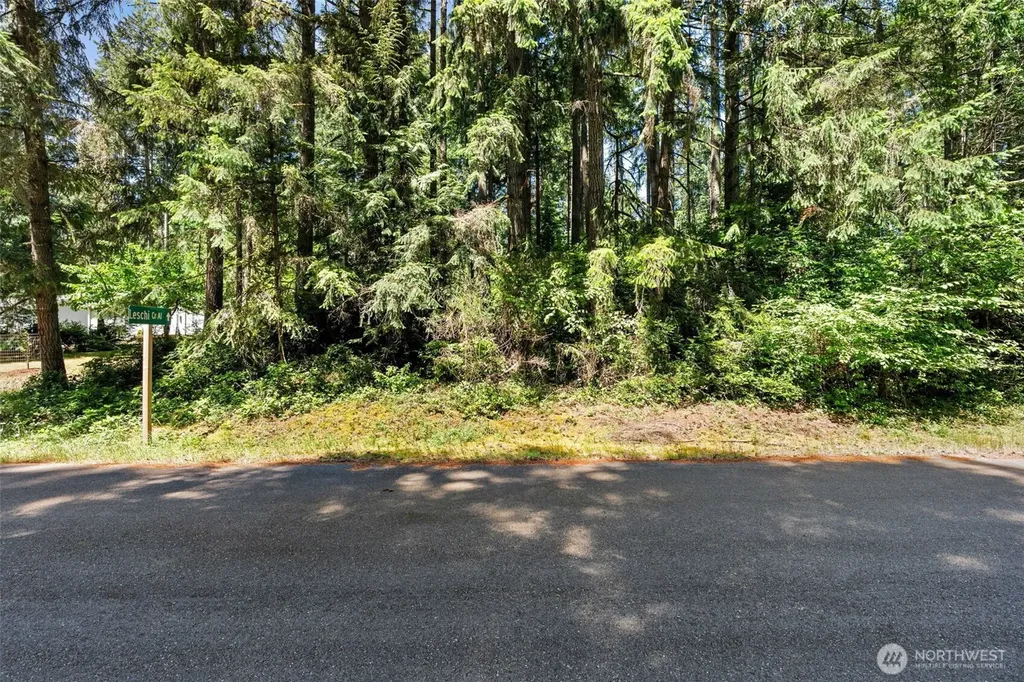 11103 Leschi Circle Anderson Island WA 98303