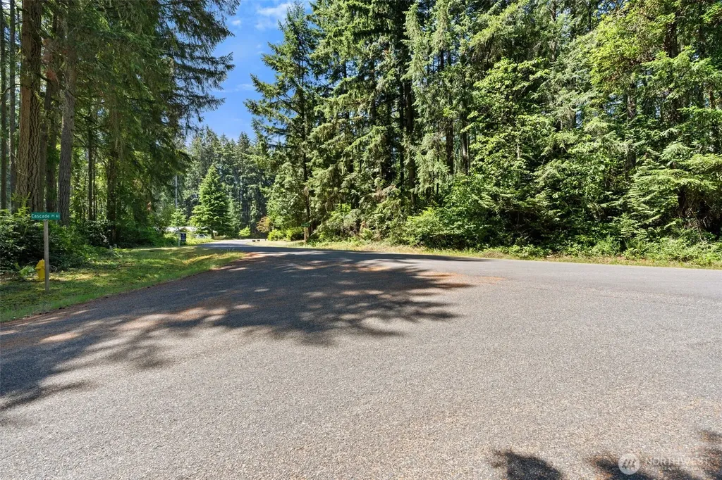 11103 Leschi Circle Anderson Island WA 98303