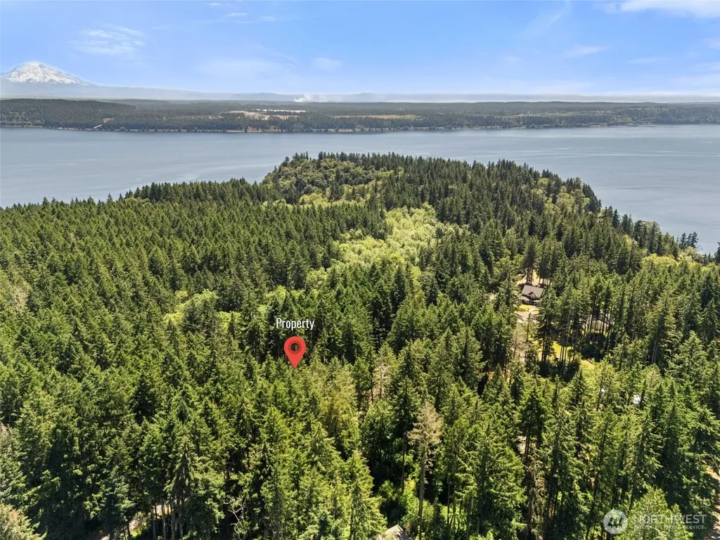 11103 Leschi Circle Anderson Island WA 98303