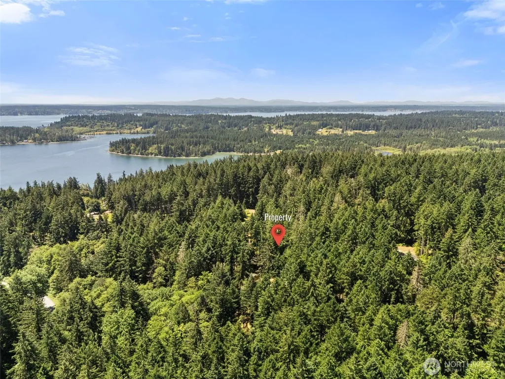 11103 Leschi Circle Anderson Island WA 98303