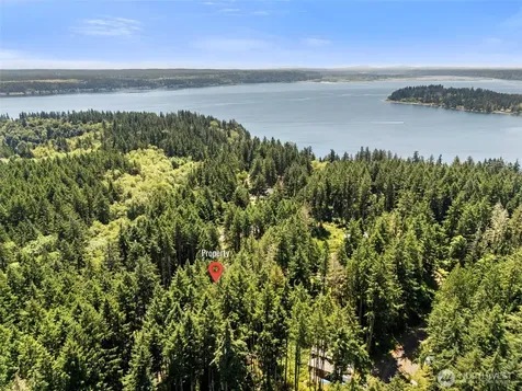 11103 Leschi Circle Anderson Island WA 98303