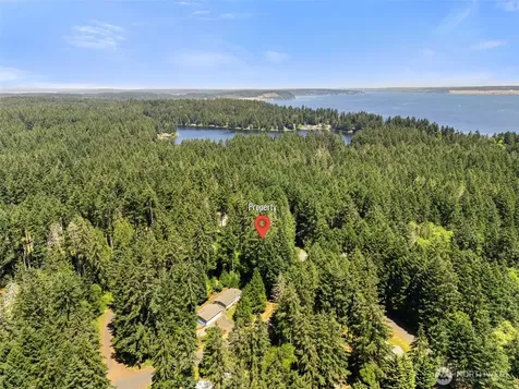 11103 Leschi Circle Anderson Island WA 98303