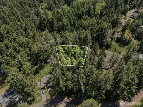 11103 Leschi Circle Anderson Island WA 98303