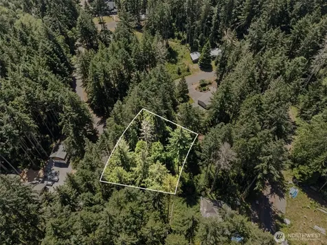 11103 Leschi Circle Anderson Island WA 98303