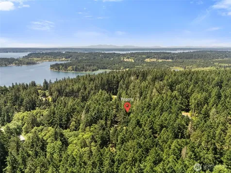 11103 Leschi Circle Anderson Island WA 98303