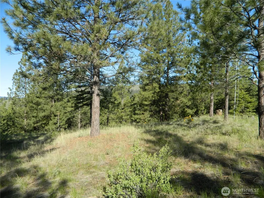 151 Indian Mary Loop Road Tonasket WA 98855