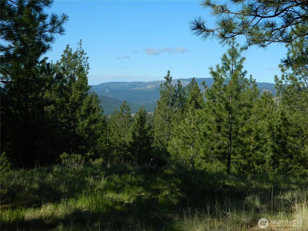 151 Indian Mary Loop Road Tonasket WA 98855