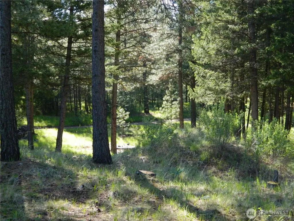 151 Indian Mary Loop Road Tonasket WA 98855