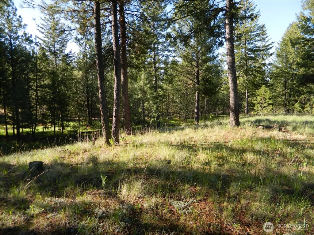 151 Indian Mary Loop Road Tonasket WA 98855