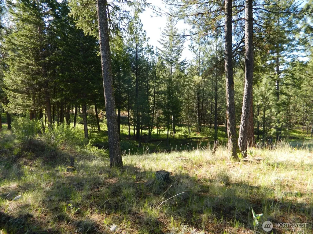 151 Indian Mary Loop Road Tonasket WA 98855