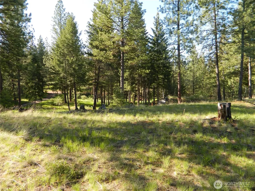 151 Indian Mary Loop Road Tonasket WA 98855