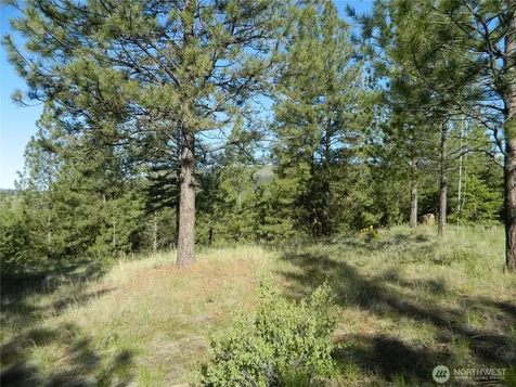 151 Indian Mary Loop Road Tonasket WA 98855