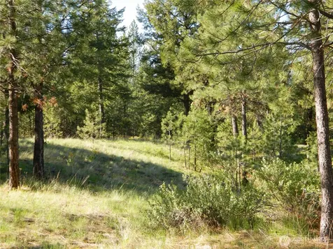 151 Indian Mary Loop Road Tonasket WA 98855