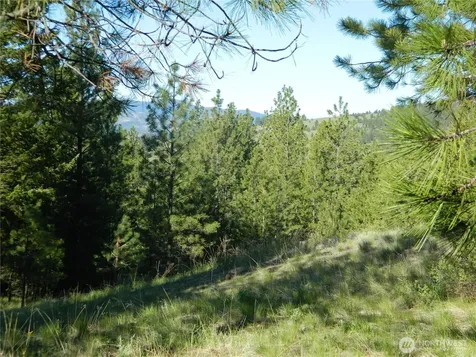 151 Indian Mary Loop Road Tonasket WA 98855