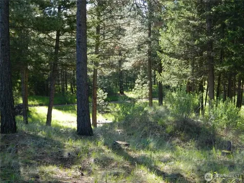 151 Indian Mary Loop Road Tonasket WA 98855