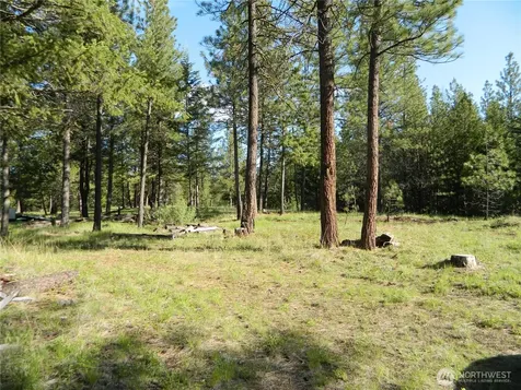 151 Indian Mary Loop Road Tonasket WA 98855