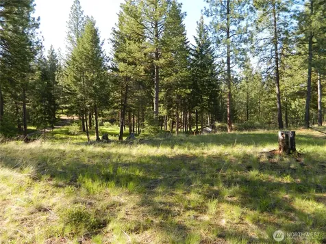 151 Indian Mary Loop Road Tonasket WA 98855