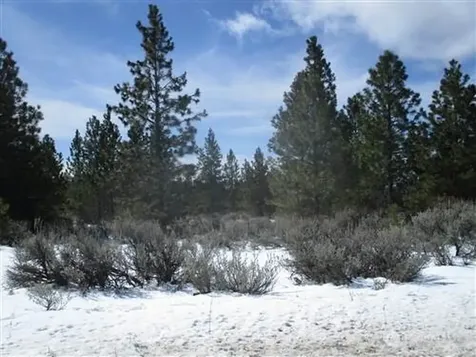 6 Chipmunk Trail Waterville WA 98858