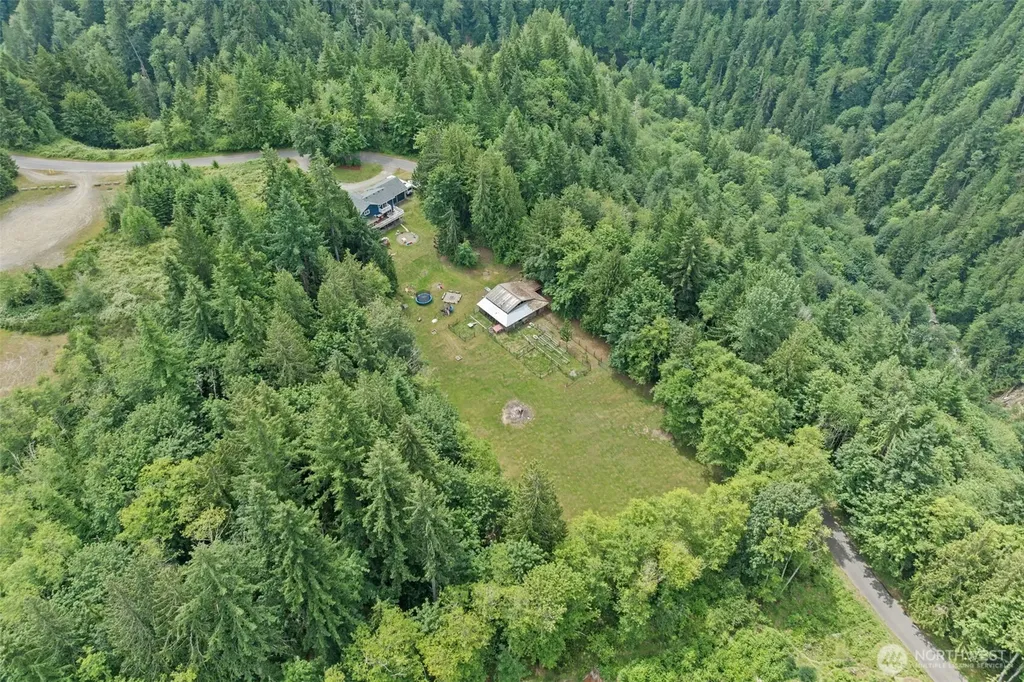 19515 Ap Tubbs Road E Carbonado WA 98323