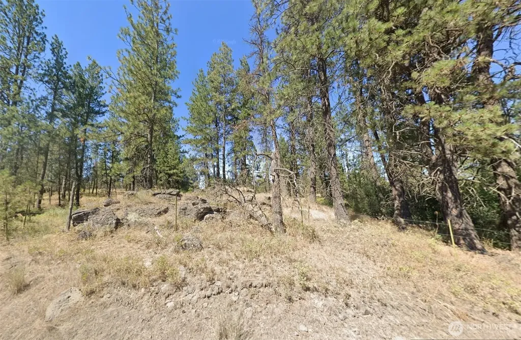 24535 S Pine Spring Road Cheney WA 99004