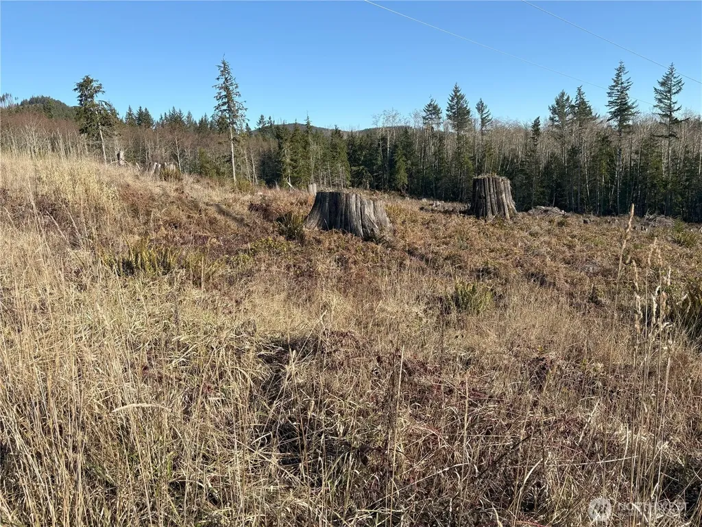 0 B-1000 Road Sequim WA 98382