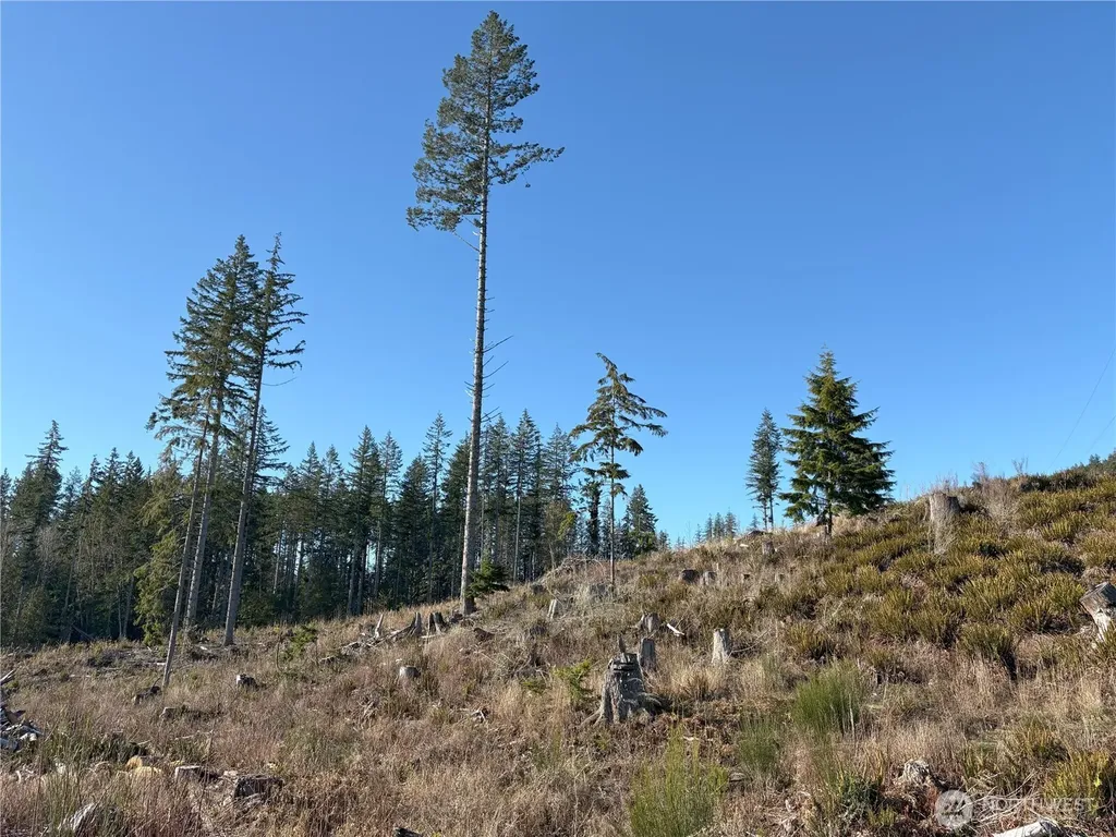 0 B-1000 Road Sequim WA 98382