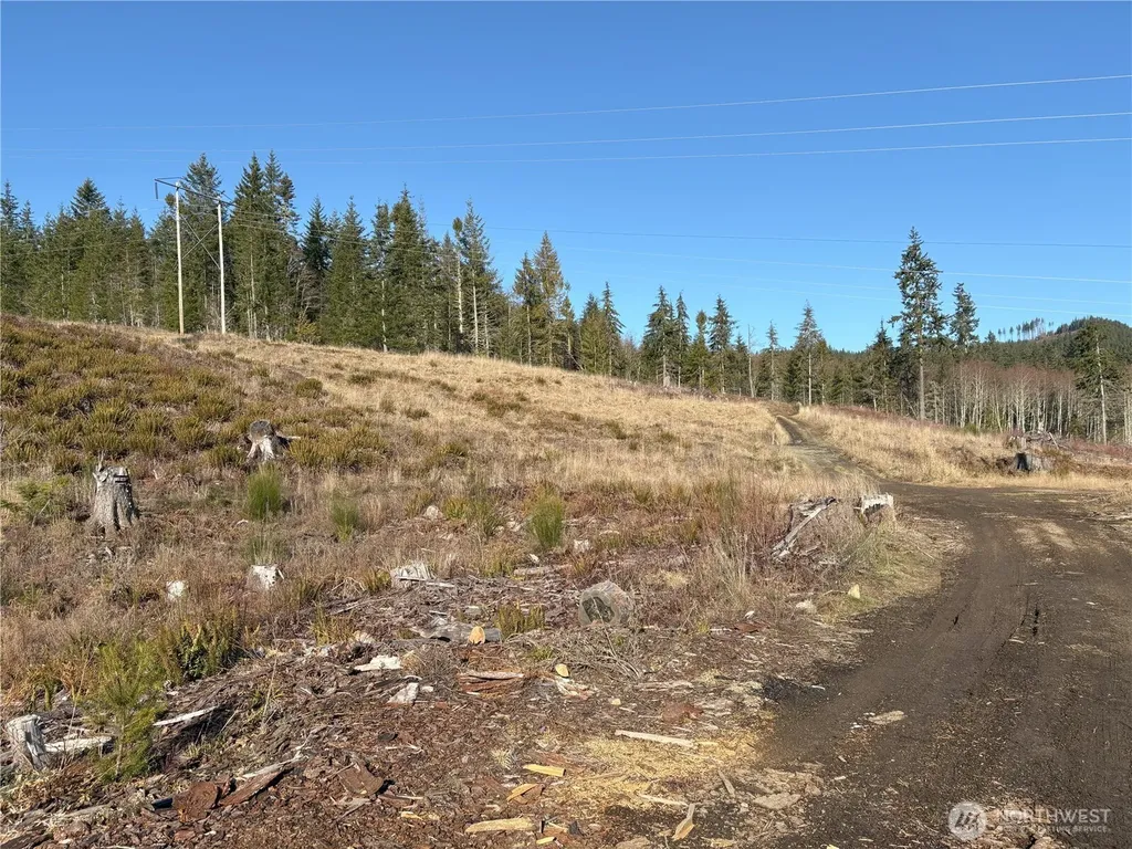 0 B-1000 Road Sequim WA 98382