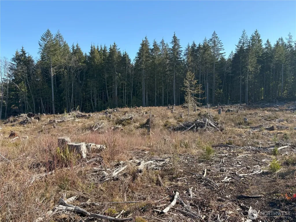 0 B-1000 Road Sequim WA 98382