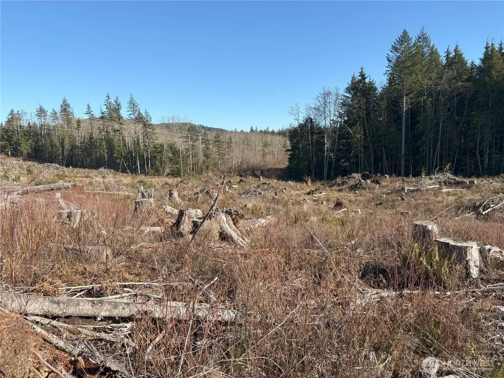 0 B-1000 Road Sequim WA 98382