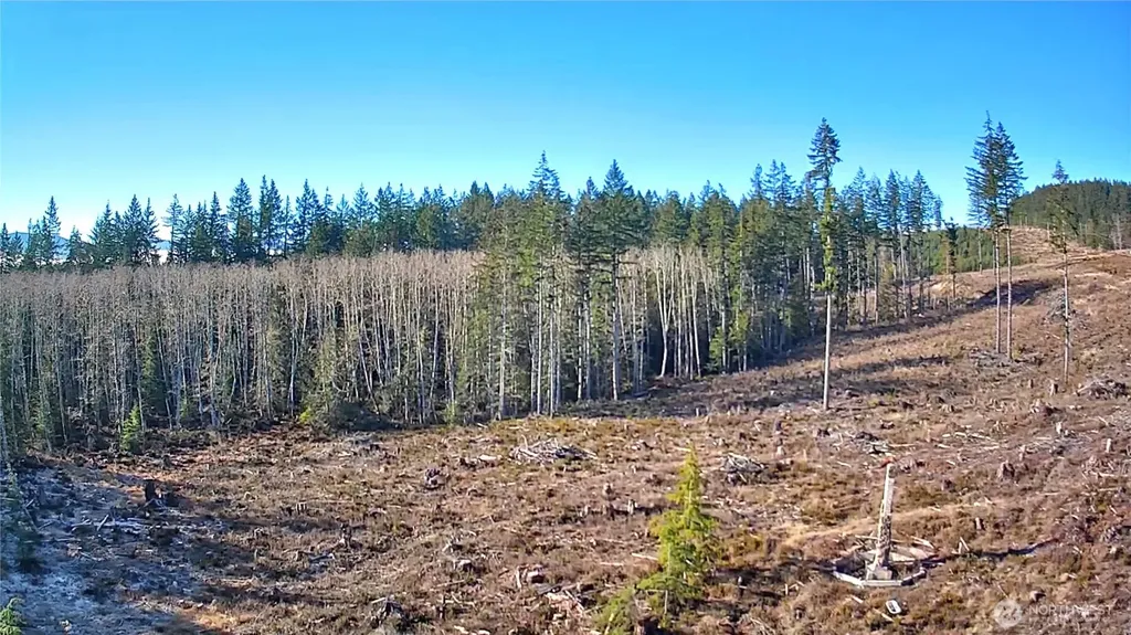 0 B-1000 Road Sequim WA 98382