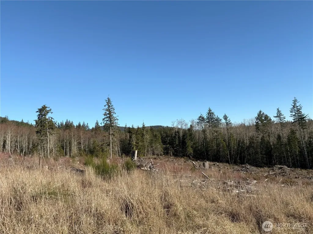 0 B-1000 Road Sequim WA 98382