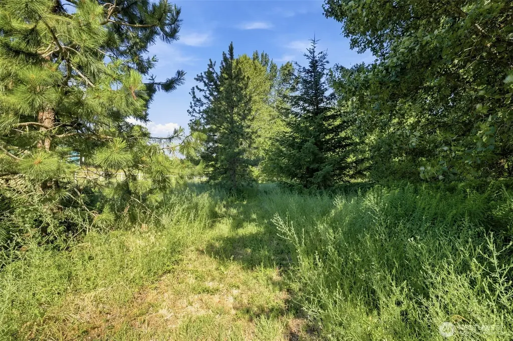 365 Black Bear Drive Cle Elum WA 98922