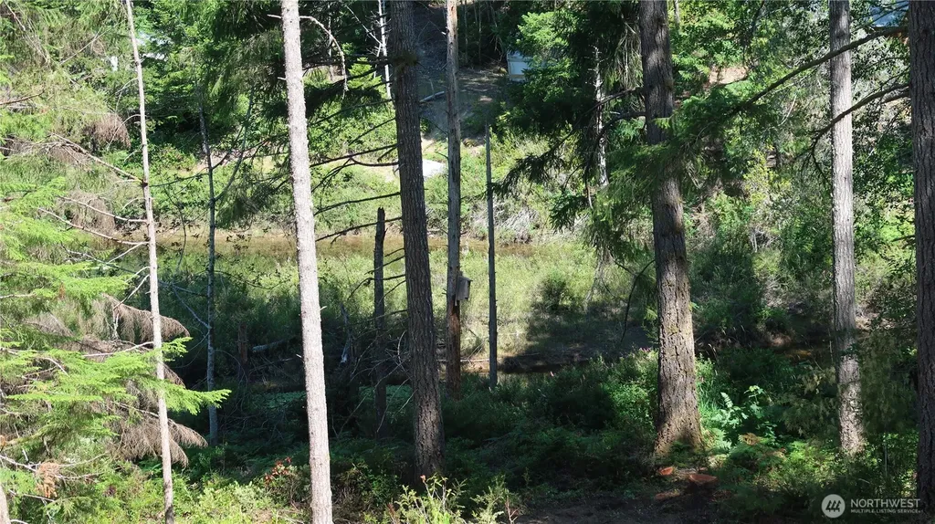 431 NE Collins Lake Drive Tahuya WA 98588