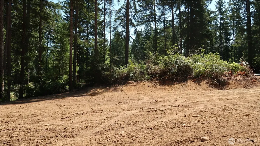 431 NE Collins Lake Drive Tahuya WA 98588