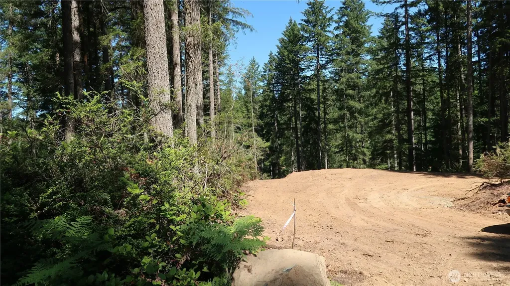 431 NE Collins Lake Drive Tahuya WA 98588