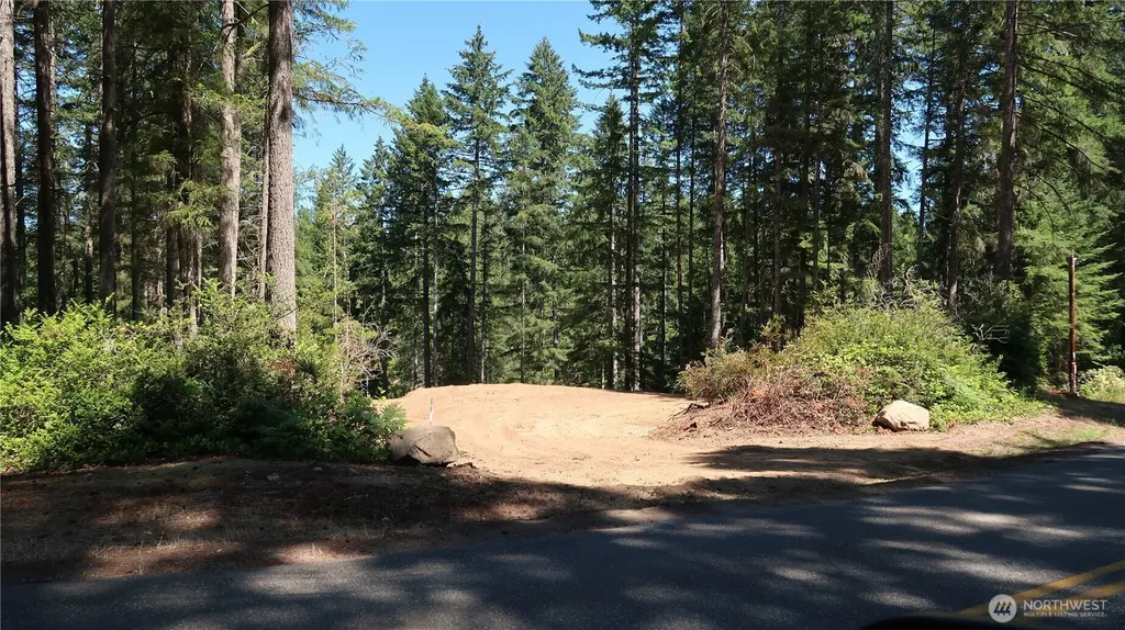 431 NE Collins Lake Drive Tahuya WA 98588