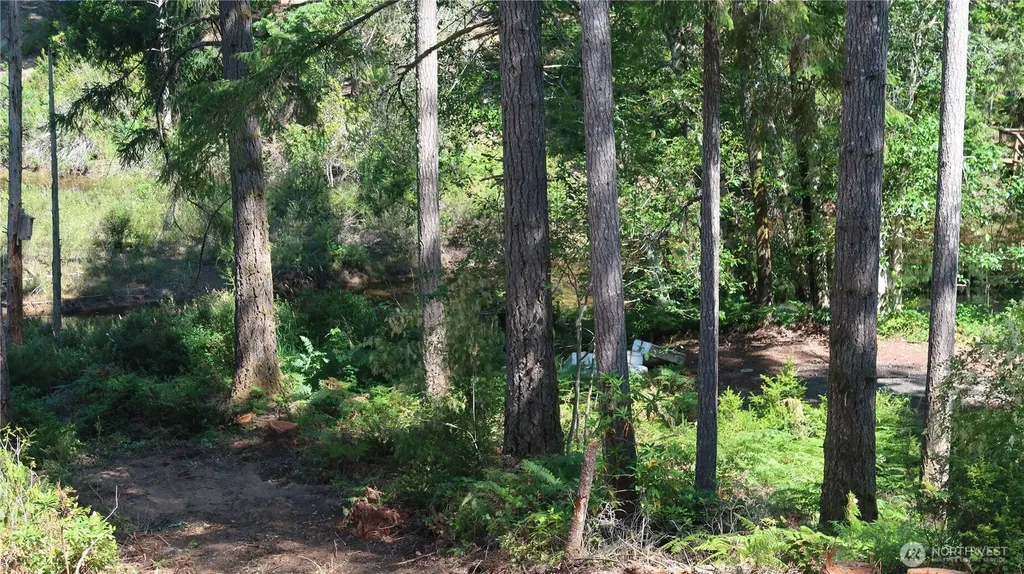 431 NE Collins Lake Drive Tahuya WA 98588