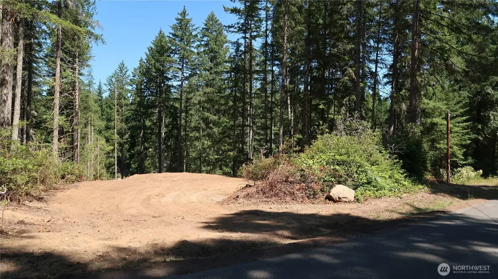 431 NE Collins Lake Drive Tahuya WA 98588