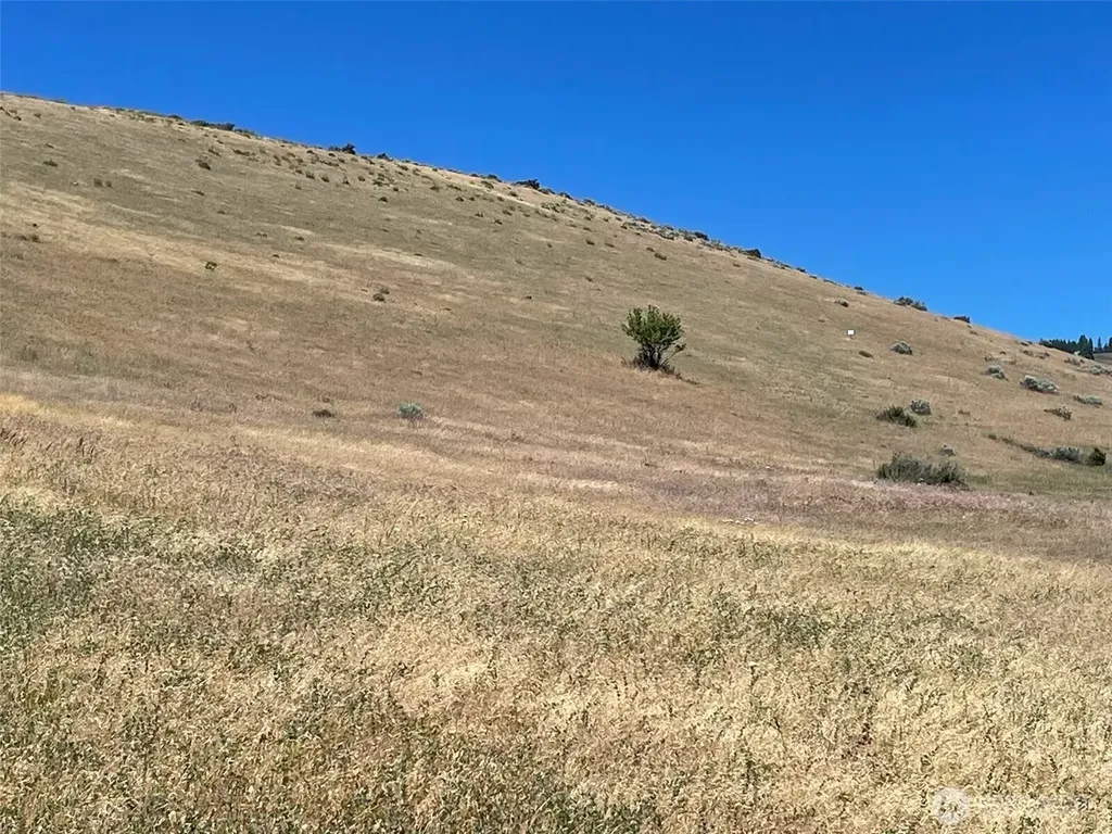 20 Robbins Road Ellensburg WA 98926